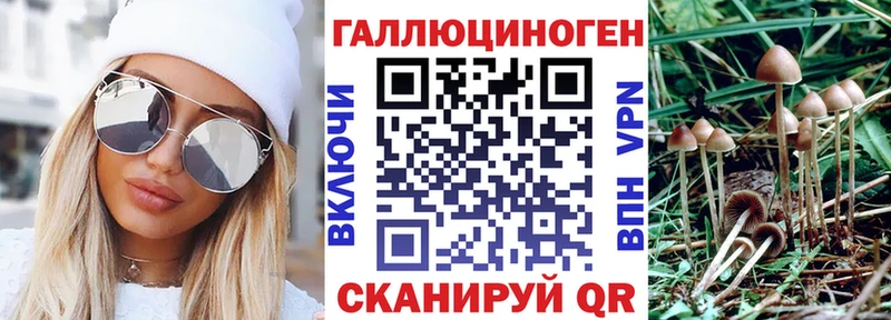 Купить  Тейково  Псилоцибиновые грибы GOLDEN TEACHER 